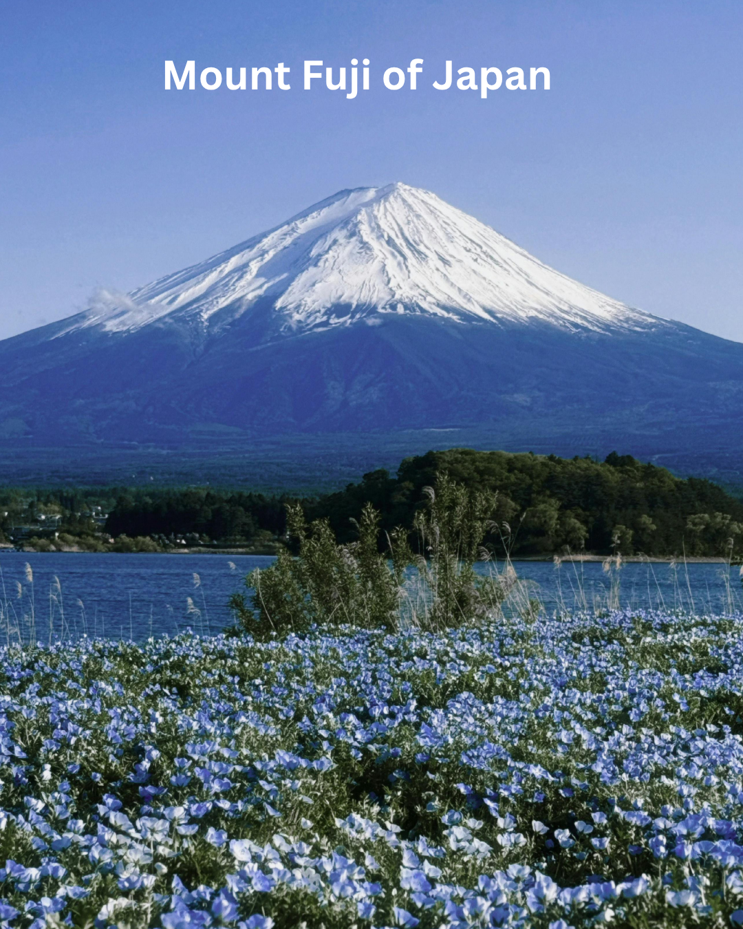 Mt. Fuji Escape