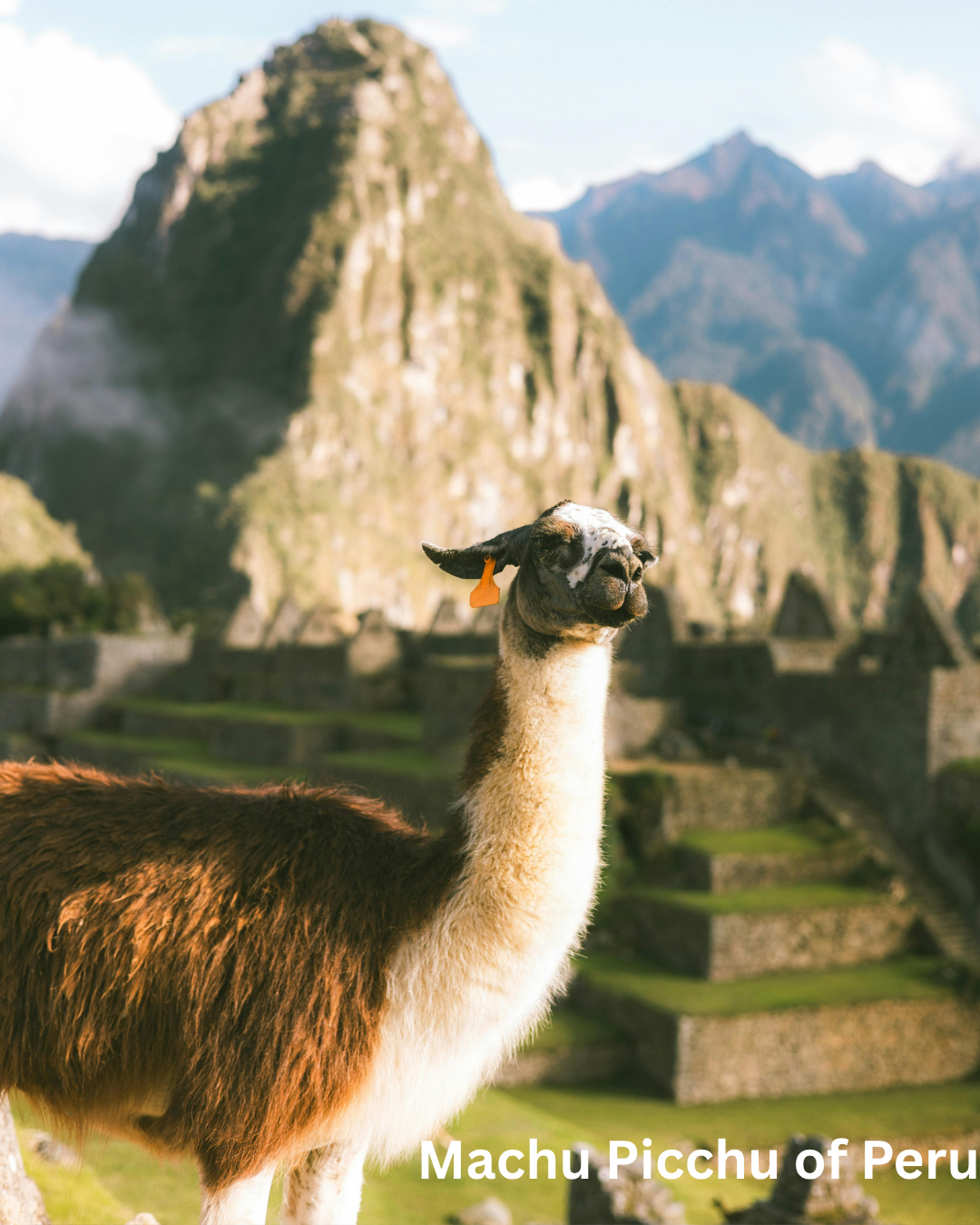 Machu Picchu Adventure