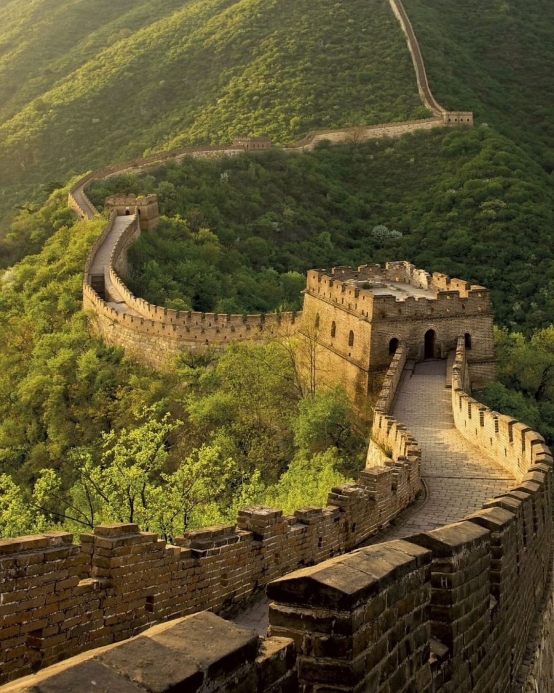 Wall of Wonders